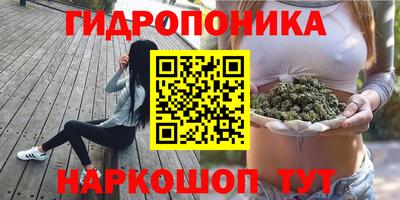 эйфоретик Краснознаменск